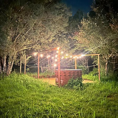 Cabanas La Victoria By Gestores Huasca de Ocampo Ngoại thất bức ảnh