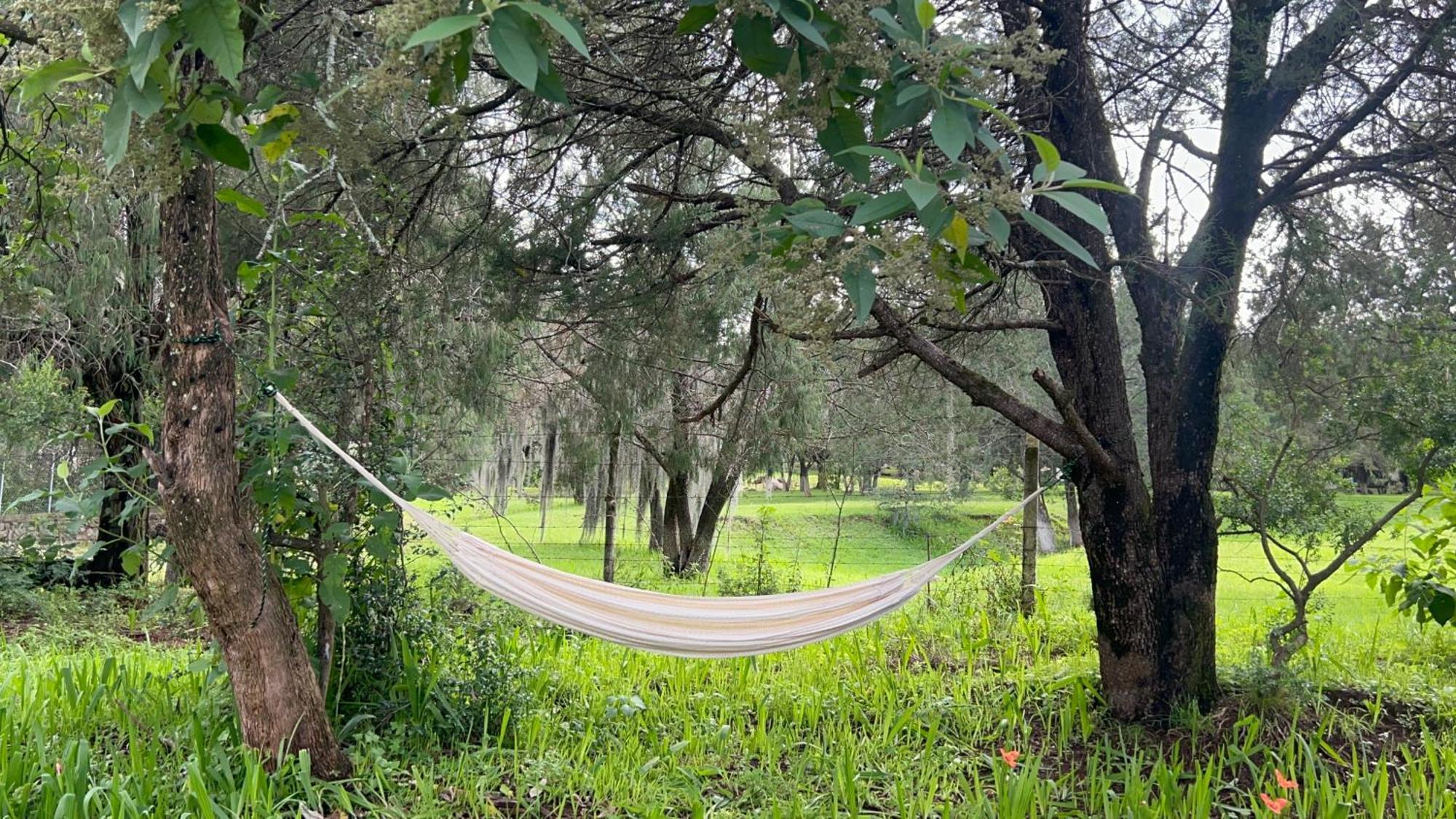 Cabanas La Victoria By Gestores Huasca de Ocampo Ngoại thất bức ảnh